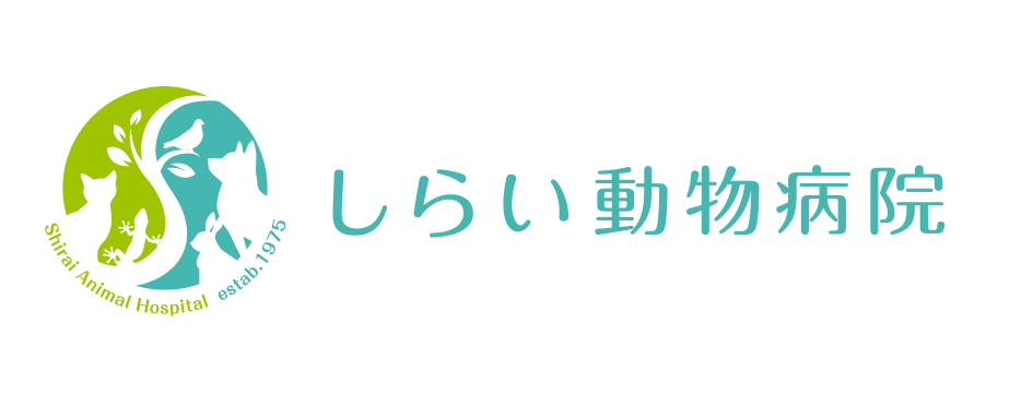 志津・佐倉しらい動物病院